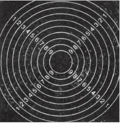 Tarkka Hirvenhiihtotaulu* Sale