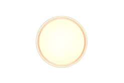 LED kattovalaisin Felis 40 cm mattavalkoinen*Trio Lighting Outlet