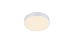 Trio Lighting LED kattovalaisin Waco 30 cm mattavalkoinen