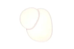 LED kattovalaisin Rise 43 cm mattavalkoinen*Trio Lighting