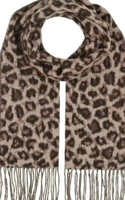 huivi 731584*V.Fraas Discount