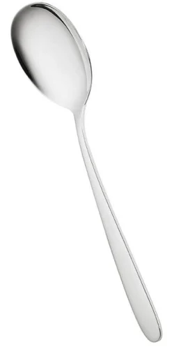 Outlet Villeroy&Boch Daily line Tarjoilulusikka