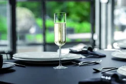 NewMoon Crystal samppanjalasisetti 0,17l 4-os.*Villeroy&Boch Sale