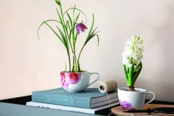 Best Villeroy&Boch Rose Garden aamiaiskuppi 0,45l