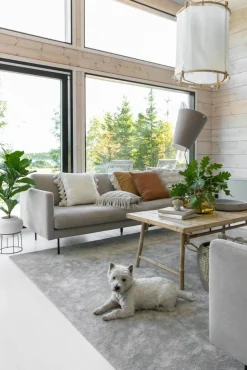 Hattara 49 beige, 200*300 cm*VM-Carpet Hot