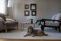 Hattara 30 valkoinen,  160*230 cm*VM-Carpet Sale