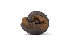 Clearance Xero Shoes paljasjalkakengät Tari TAW-TOF TAW-TOF Toffee